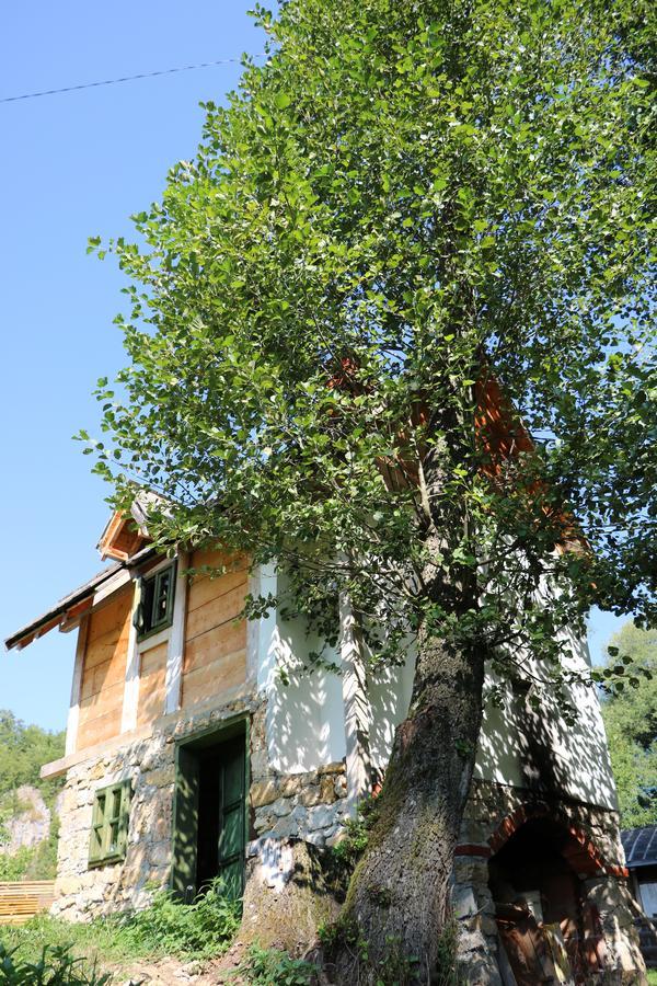 Eco Camp Dzogaska Vrela Hotel Плевля Екстериор снимка