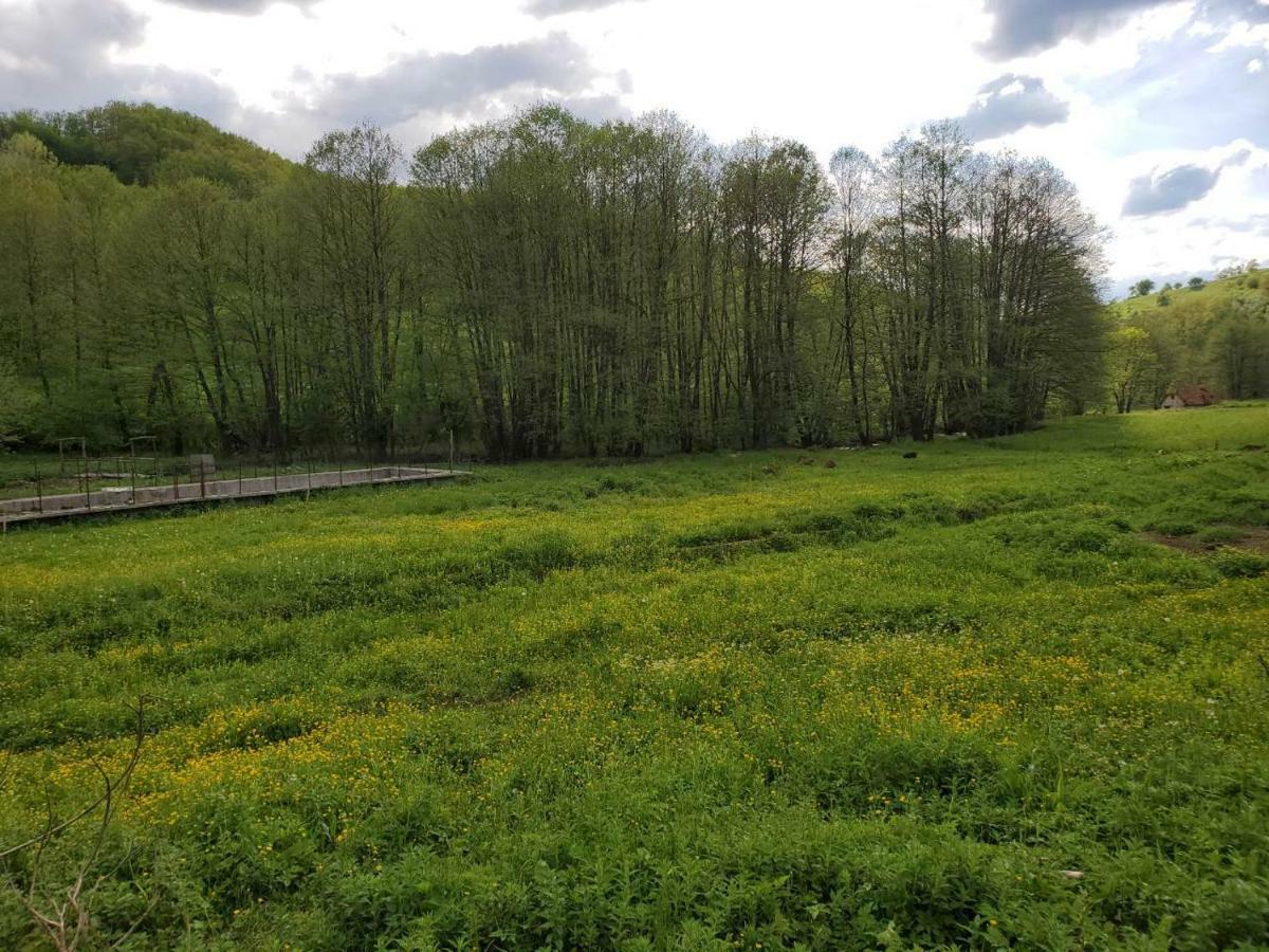 Eco Camp Dzogaska Vrela Hotel Плевля Екстериор снимка